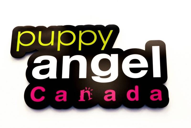 Puppy Angel | 1 Boulevard de Sardaigne, Candiac, QC J5R 0A1, Canada | Phone: (450) 444-4441