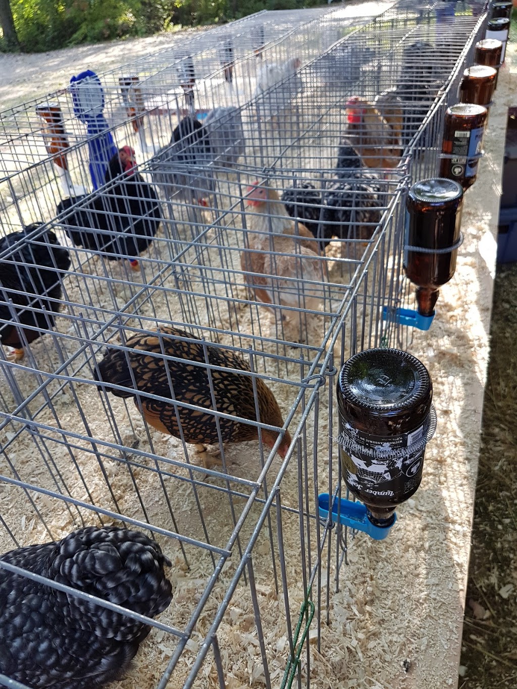 Verger Pom-Nature | 1402 Chemin Ozias-Leduc, Mont-Saint-Hilaire, QC J3G 4S6, Canada | Phone: (514) 821-6935
