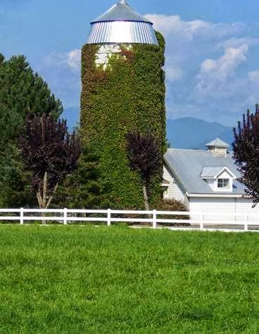 A & G Fencing Chilliwack | 50231 Castleman Rd, Chilliwack, BC V2P 6H4, Canada | Phone: (604) 794-3181