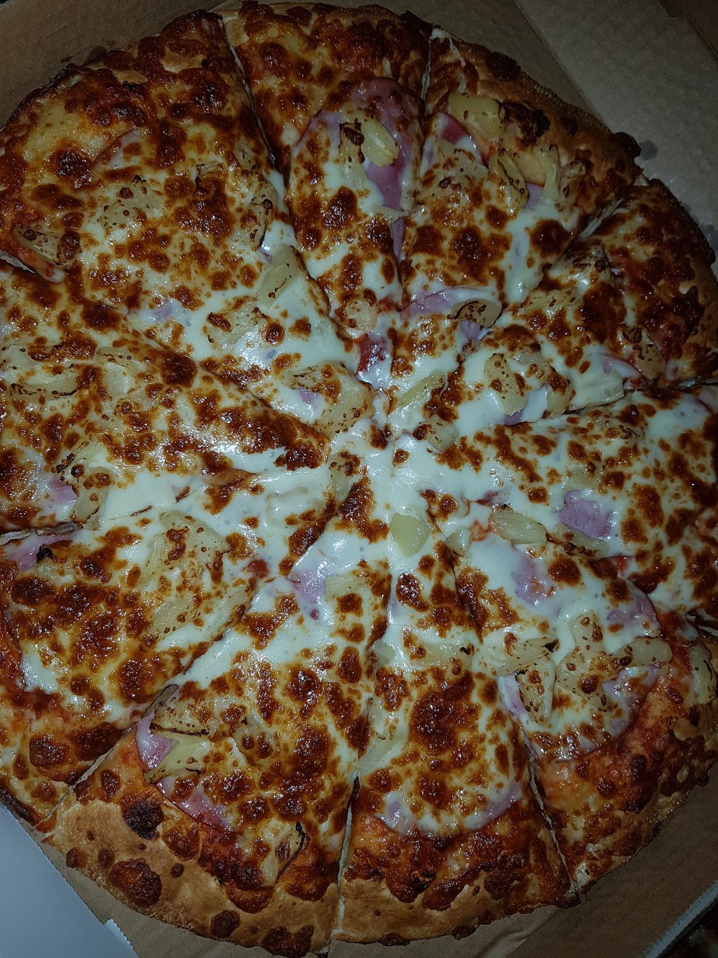 Pappa Leos Pizza | 19977 96 Ave, Langley City, BC V1M 3A7, Canada | Phone: (604) 371-4777