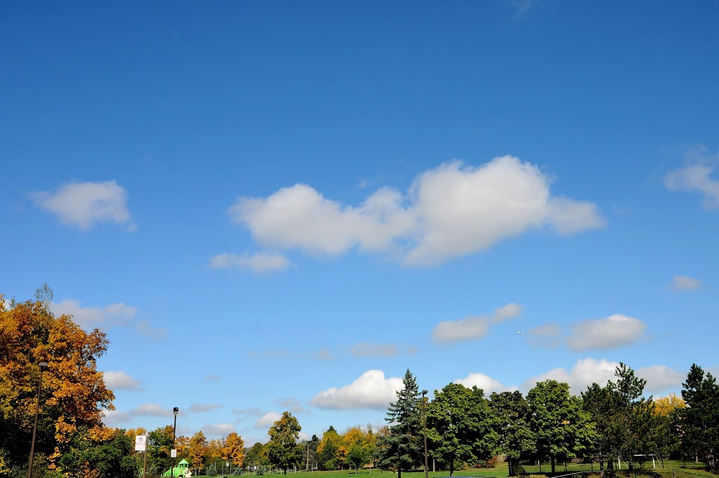 Trelawny Public School | 3420 Trelawny Cir, Mississauga, ON L5N 6N6, Canada | Phone: (905) 824-0360