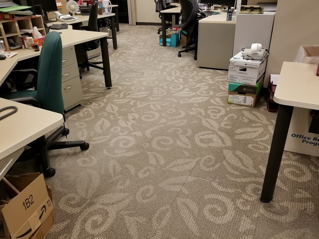 CZACHCIANO GREEN CLEAN SERVICES | 647 E 46th Ave, Vancouver, BC V5W 2A2, Canada | Phone: (604) 803-5961