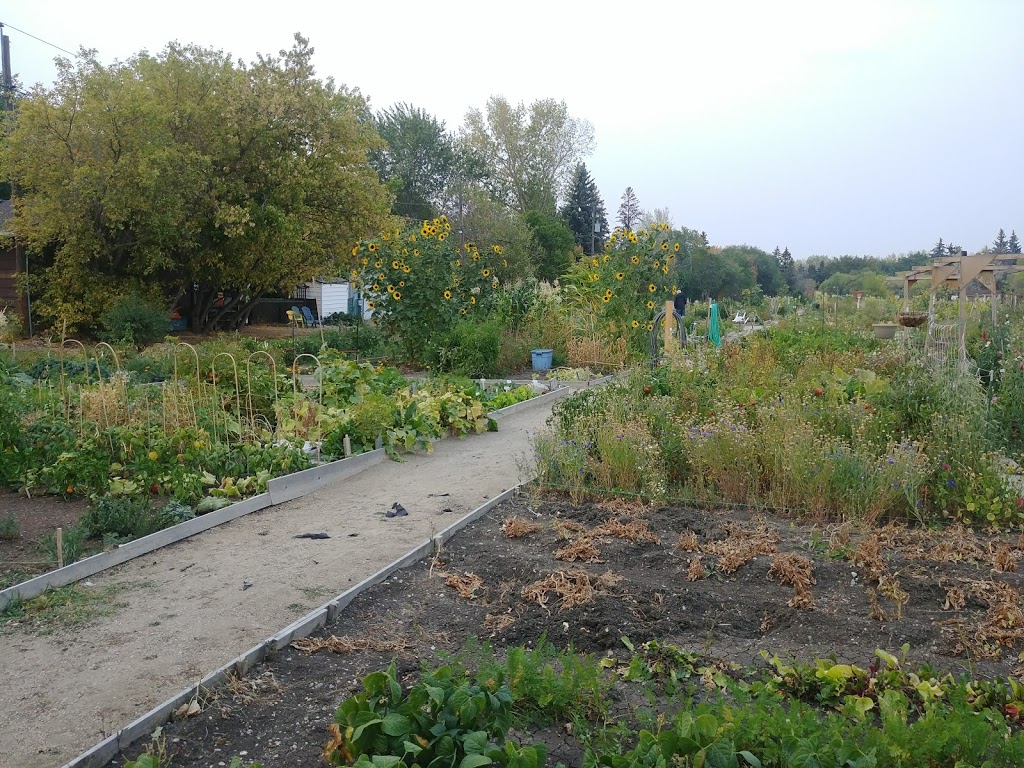 Grow Regina Community Garden | 3500 Queen St, Regina, SK S4S 7K4, Canada