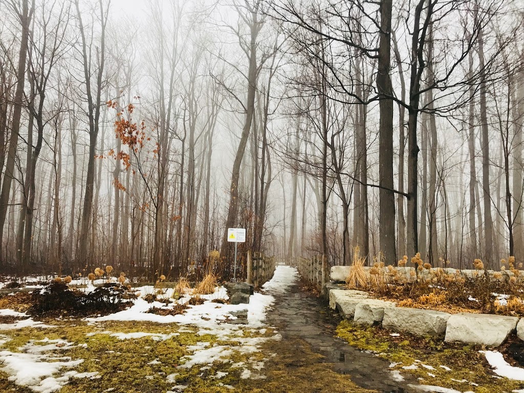 Frank Faubert Wood Lot | 185 Borough Dr, Scarborough, ON M1P, Canada