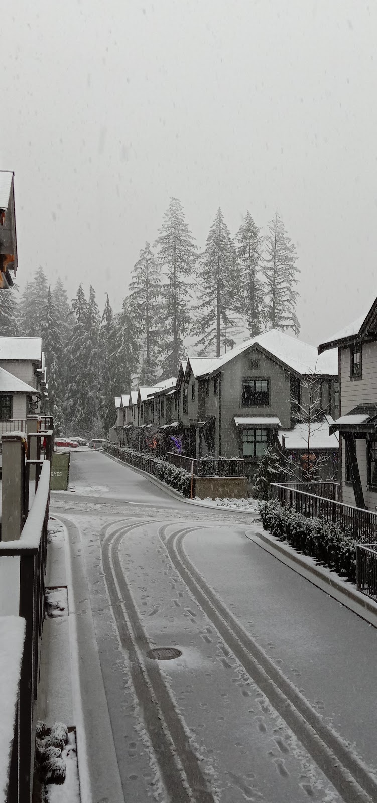Forester by Townline | 1290 Mitchell St, Coquitlam, BC V3E 0N9, Canada | Phone: (604) 552-8005