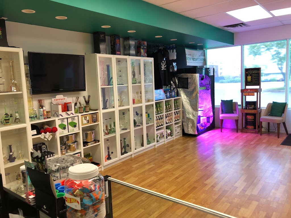 Toke House | 1500 James St S Unit #3, Thunder Bay, ON P7E 6N7, Canada | Phone: (807) 286-0048