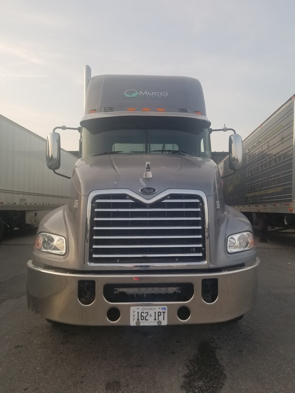 Mucci Farms Ltd | 1876 Seacliff Dr, Kingsville, ON N9Y 2N1, Canada | Phone: (519) 326-8881