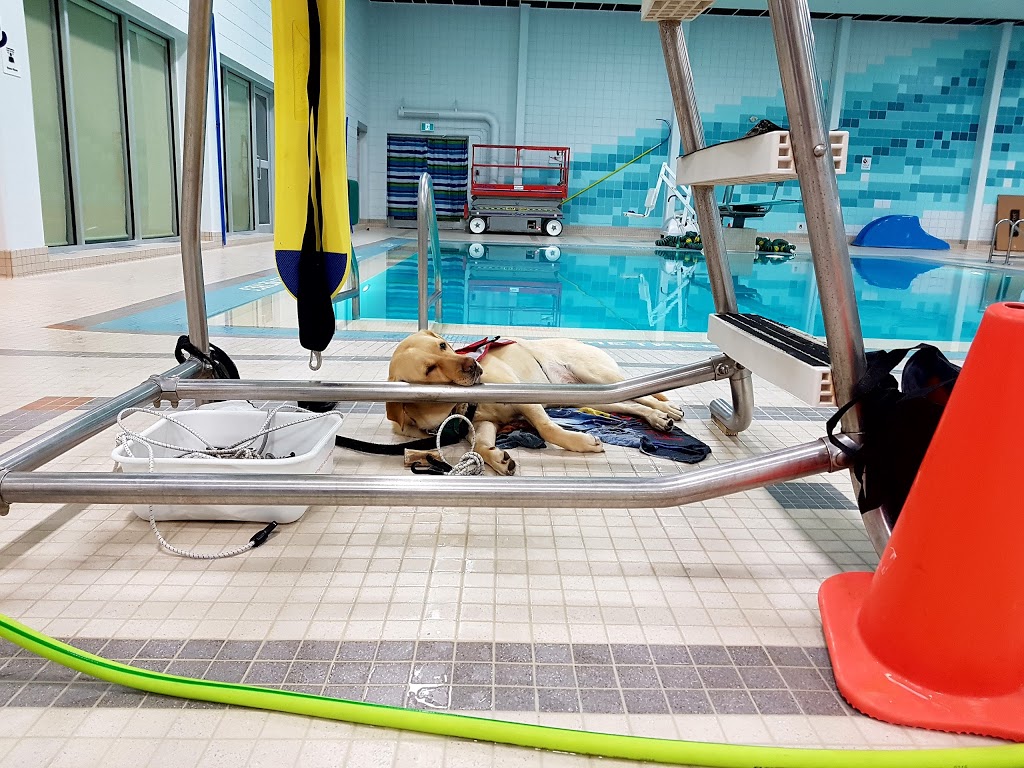 Killarney Aquatic & Recreation Centre | 1919 29 St SW, Calgary, AB T3E 2J7, Canada | Phone: (403) 268-2489