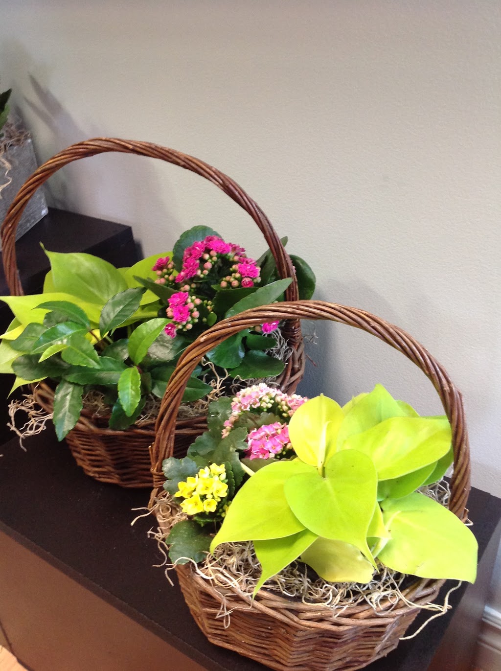 Fleuriste Beauharnois | 124 Rue Saint Laurent, Beauharnois, QC J6N 1V9, Canada | Phone: (450) 395-0876