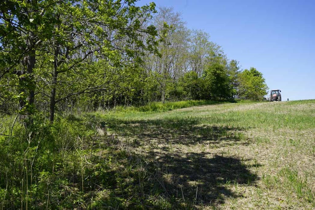 Haldimand Stewardship Council Inc. | 15 Cayuga St N, Cayuga, ON N0A 1E0, Canada | Phone: (905) 772-1393