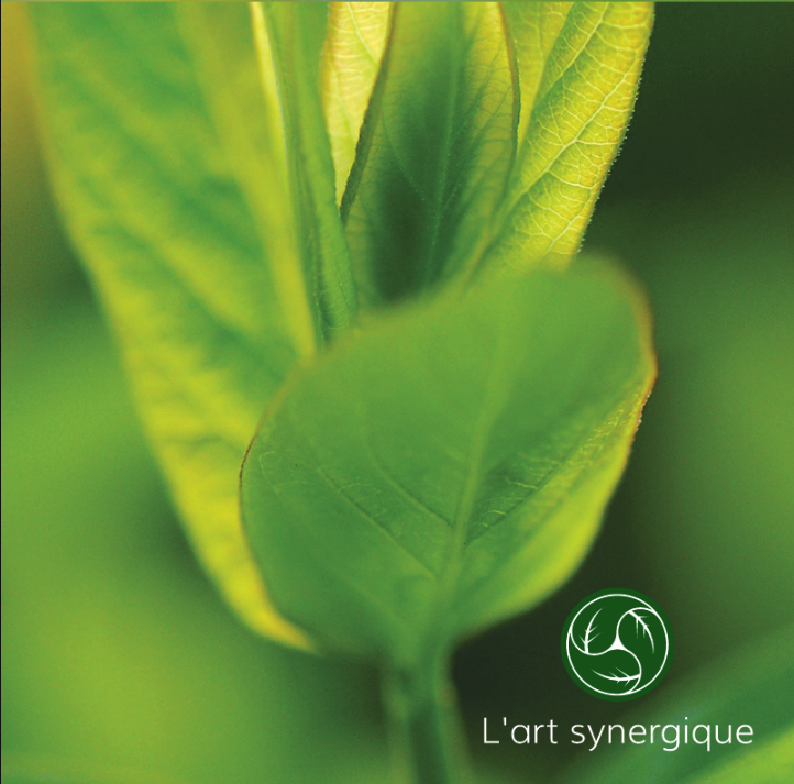 Massothérapie Art Synergique | 1416 Rue Père-Chaumonot porte A, LAncienne-Lorette, QC G2E 1P9, Canada | Phone: (581) 397-1561