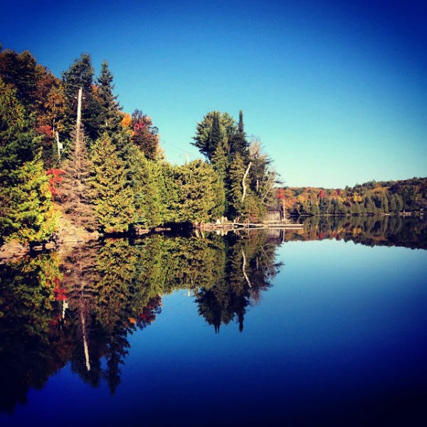 Cedar Grove Cabins | 1259 Kashagawigamog Lake Rd, Minden, ON K0M 2K0, Canada | Phone: (705) 286-5057