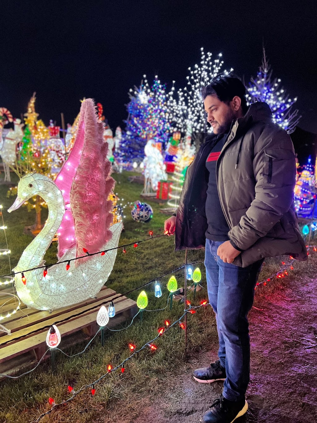 The Griswold Ilderton Christmas Display | 220 Songbird Ln, Ilderton, ON N0M 2A0, Canada | Phone: (519) 639-8860