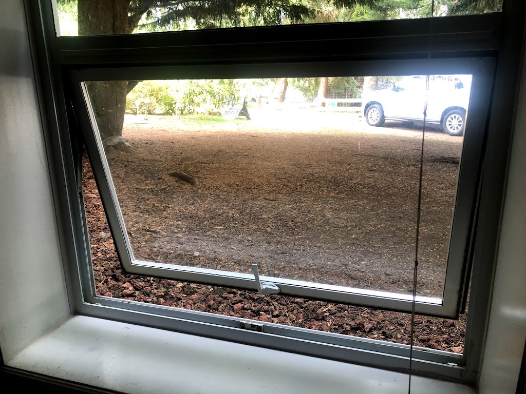 Professional Window Screen | 7264 201 St, Langley, BC V2Y 3G3, Canada | Phone: (778) 908-1236