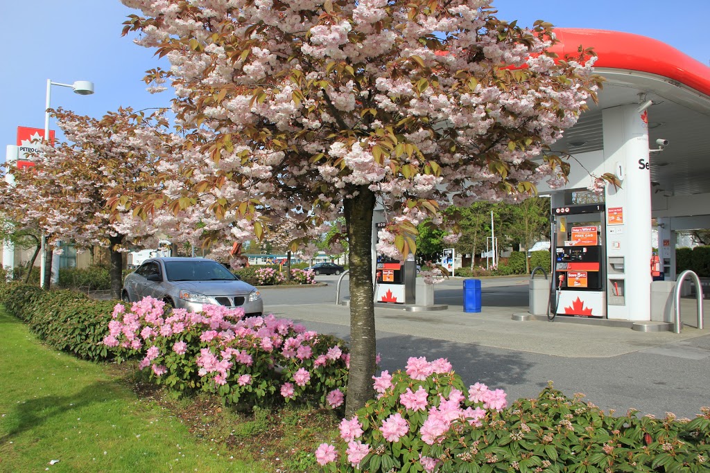 Petro-Canada | 7890 Canada Way, Burnaby, BC V3N 3L4, Canada | Phone: (604) 519-1307