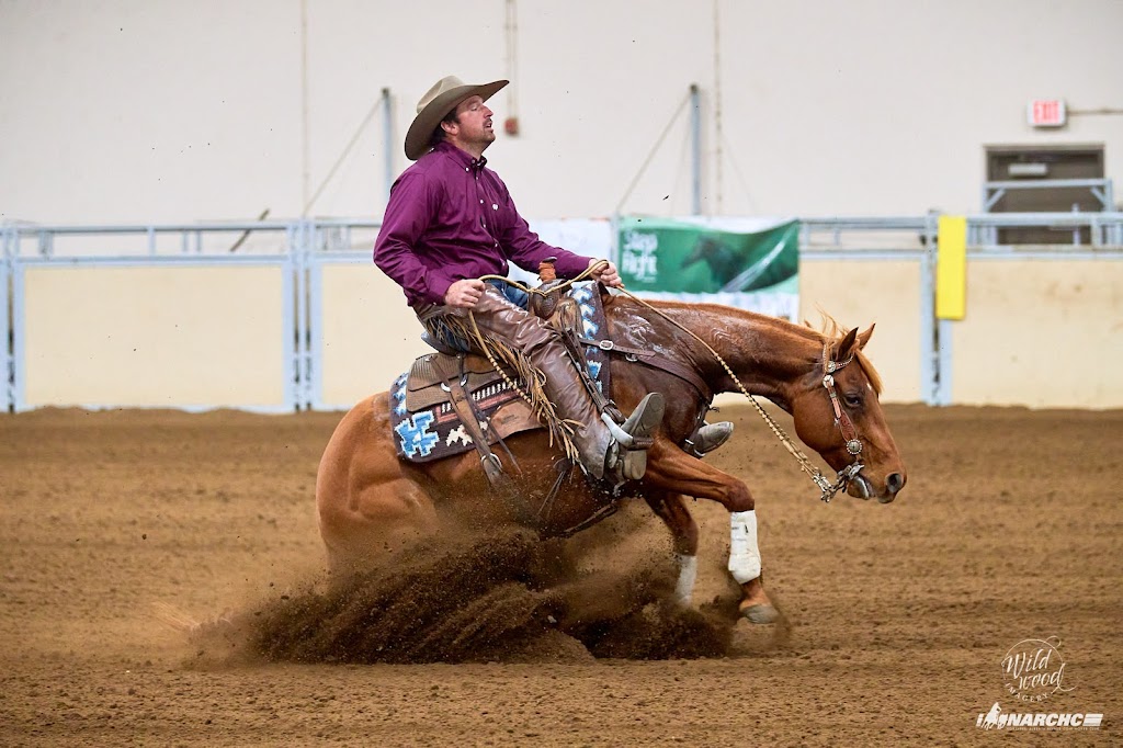 Douglas Performance Horses | QMJC+93, Yellow Grass, SK S0G 5J0, Canada | Phone: (306) 731-7686