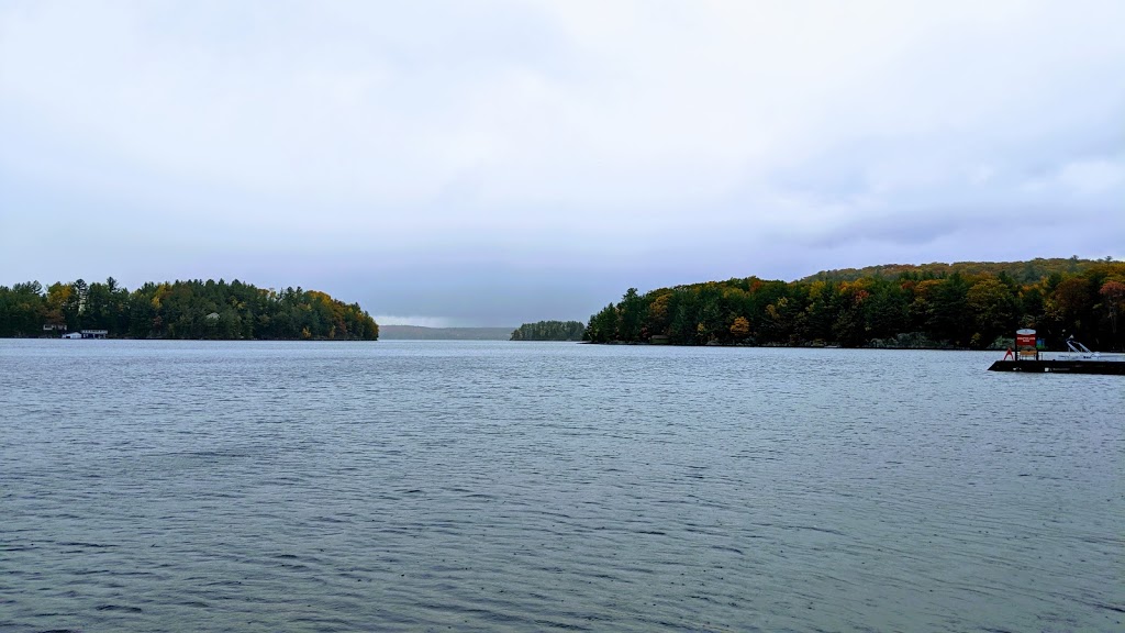 Muskoka Village Harbour and Marina | 1291 Skeleton Lake Road 2, Utterson, ON P0B 1M0, Canada | Phone: (416) 580-0352