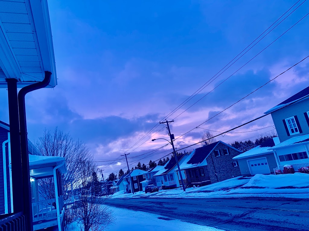 Artson Image | 1662 Rue Principale, Buckland, QC G0R 4A0, Canada | Phone: (418) 243-2787