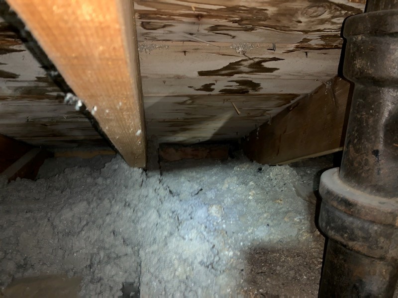 Insulation Police Ltd. | 20129 107 Ave NW, Edmonton, AB T5S 1W4, Canada | Phone: (780) 461-4390