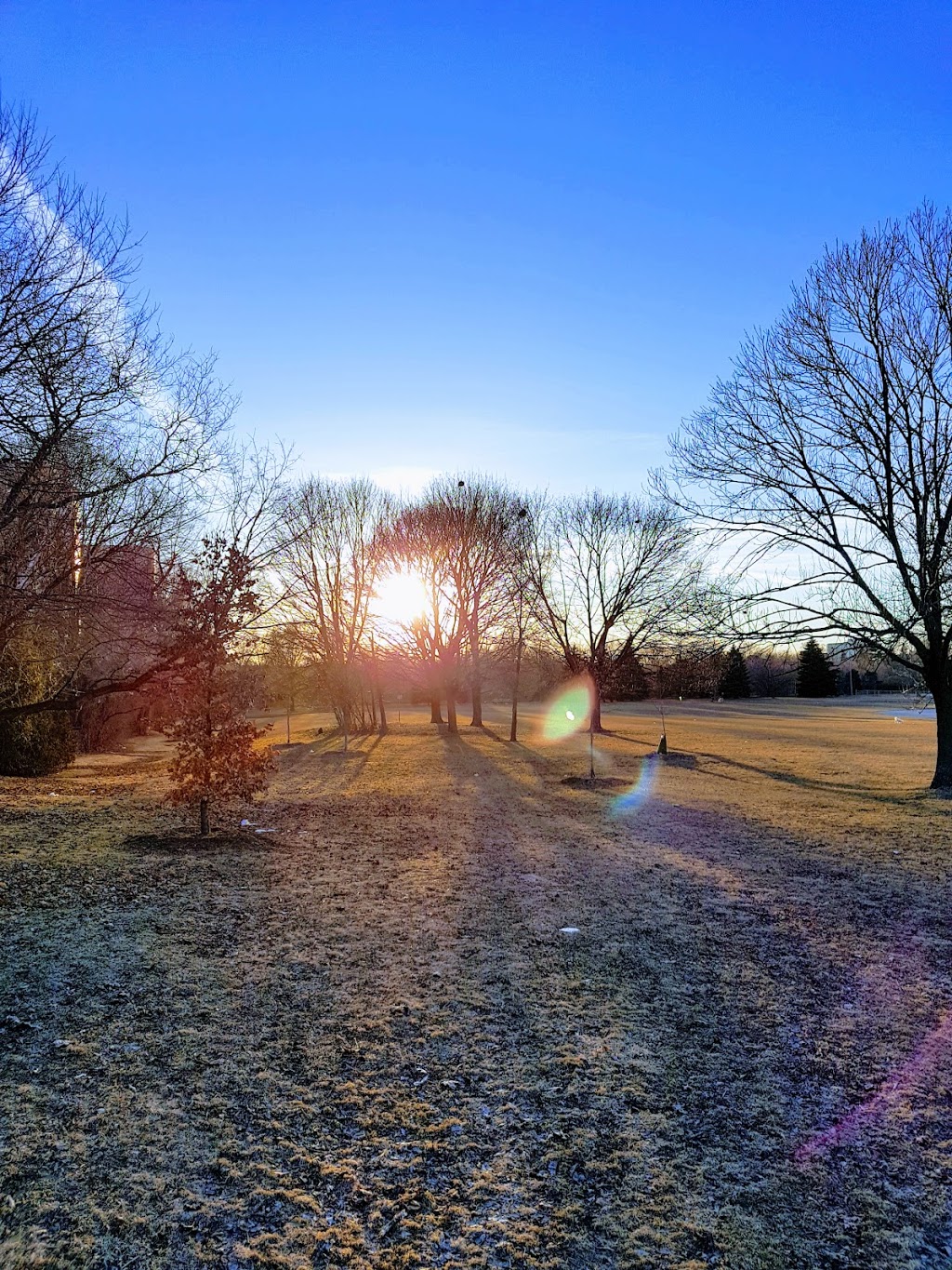 Viewmount Park | 169 Viewmount Ave, Toronto, ON M6B 1T5, Canada | Phone: (416) 338-4386