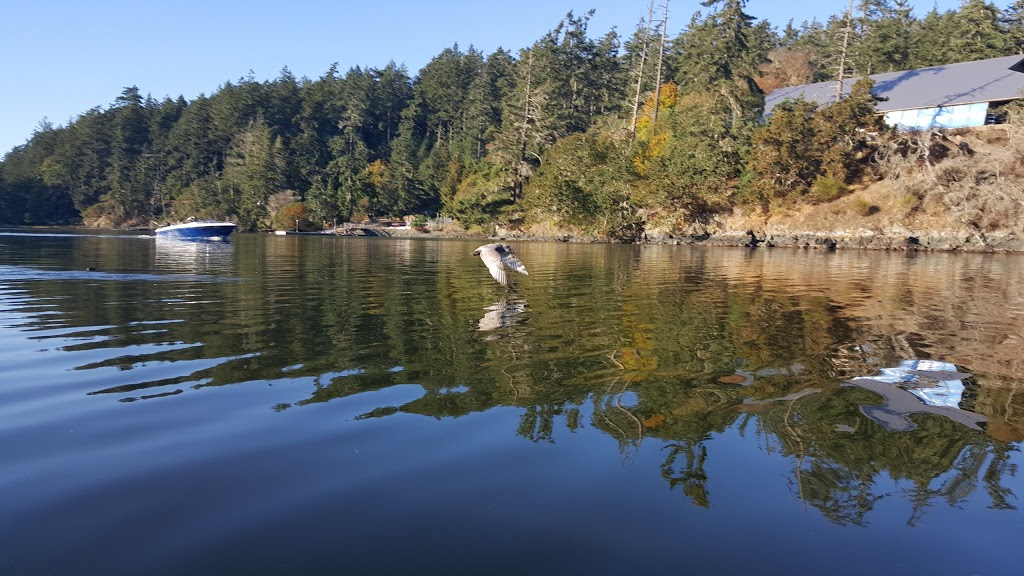 Sand Dollar Pools | 925 Pedder Bay Dr, Victoria, BC V9C 4H1, Canada