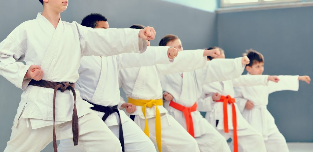 Elmira Karate Dojo | 60 Arthur St S, Elmira, ON N3B 2M9, Canada | Phone: (519) 669-3340
