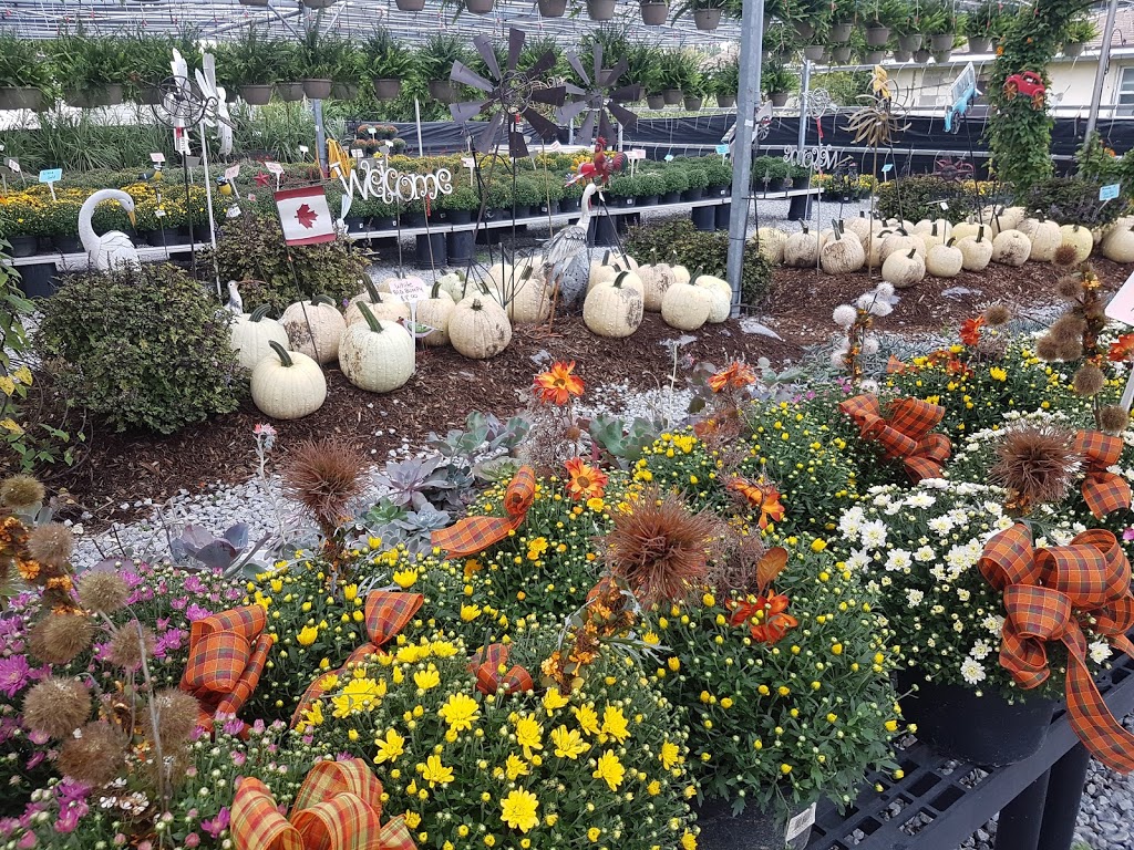 De Goey Nursery | 665 St Clair St, Chatham, ON N7L 4G8, Canada | Phone: (519) 358-1755