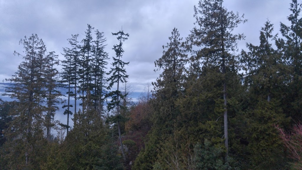 W Hanley & Co Ltd | 5419 W Vista Ct, West Vancouver, BC V7W 3G8, Canada | Phone: (604) 926-3284