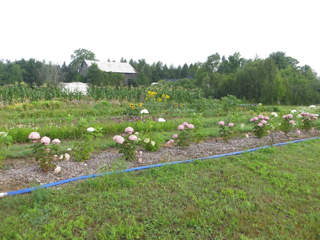 Weathered Rock Farm | 12504 2 Line, Milton, ON L0P 1B0, Canada | Phone: (289) 270-3960
