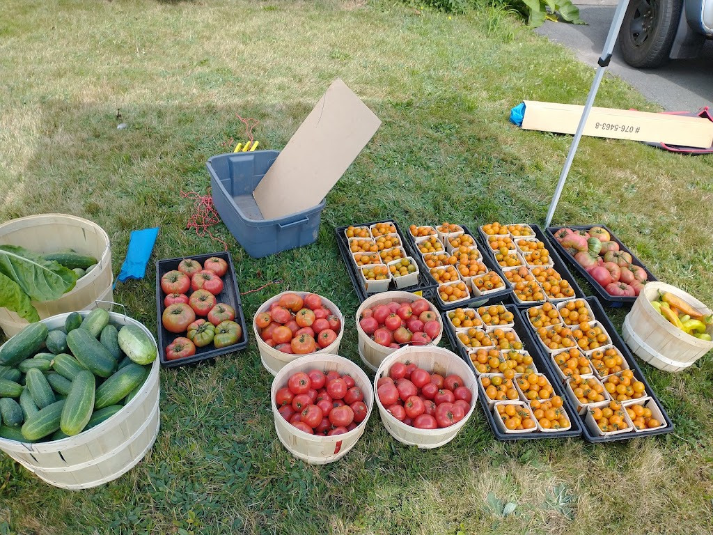 Granite Organic | 4159 Chester Rd, Windsor, NS B0N 2T0, Canada | Phone: (902) 448-5199