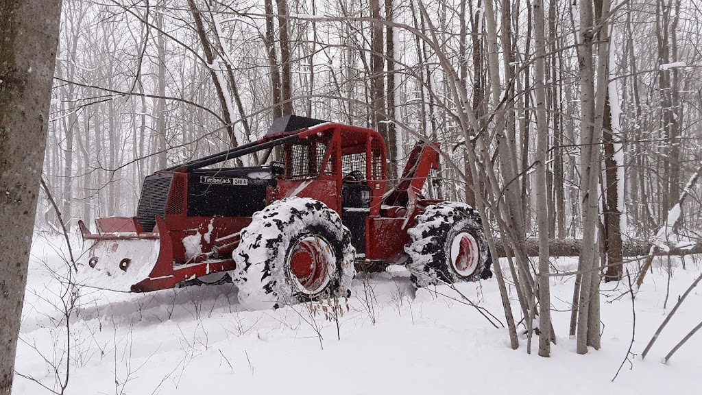 Ebersol Forestry {Firewood-Processing-Logging} | 4805 Line 76, Newton, ON N0K 1R0, Canada | Phone: (226) 751-5388