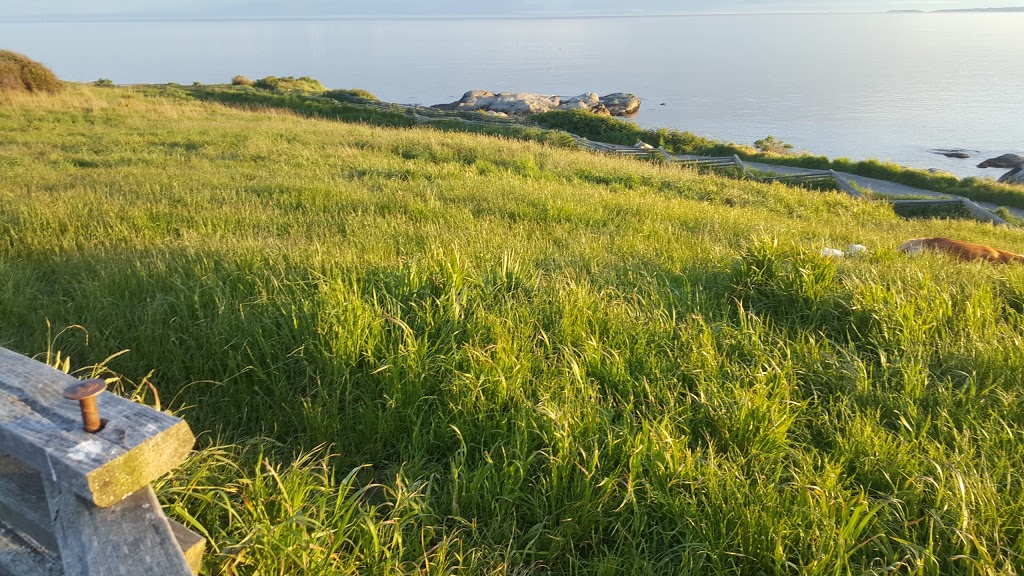 MacAulay Point Park | 304 Clifton Terrace, Victoria, BC V9A 5X9, Canada | Phone: (250) 412-8525