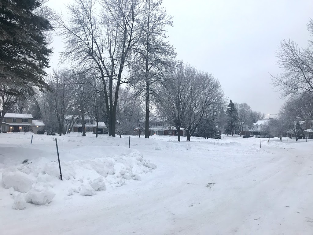 Mouse Park | Beaconsfield, QC H9W, Canada