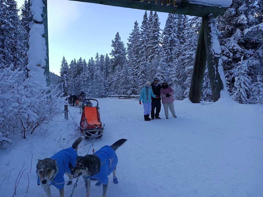 Kingmik Dog Sled Tours | 16430 Hwy 1A, Lake Louise, AB T0L 1E0, Canada | Phone: (855) 482-4592
