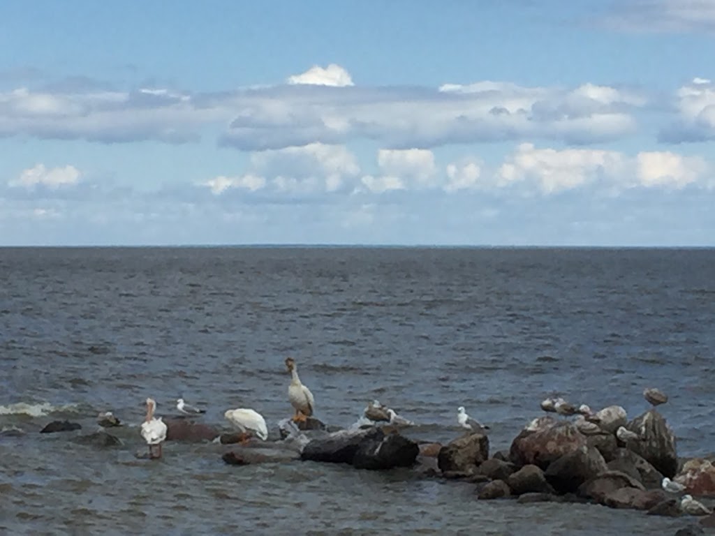 Winnipeg Beach Provincial Park Campground | 3 Hamilton Ave, Winnipeg Beach, MB R0C 3G0, Canada | Phone: (204) 389-2752