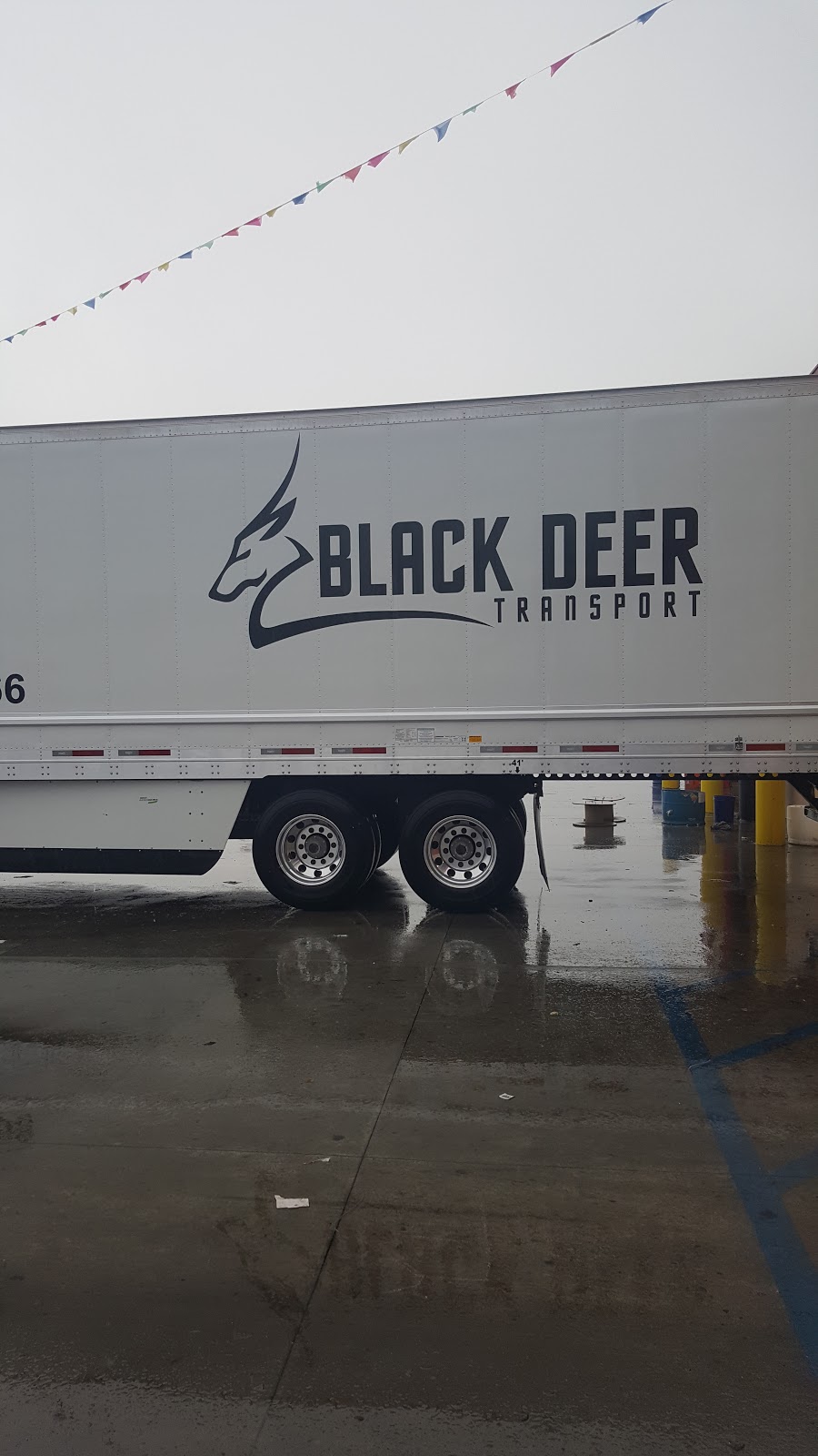 Black Deer Transport Inc. | point of interest | 15 Winer Rd, Puslinch, ON N0B 2J0, Canada | 9055645566 OR +1 905-564-5566