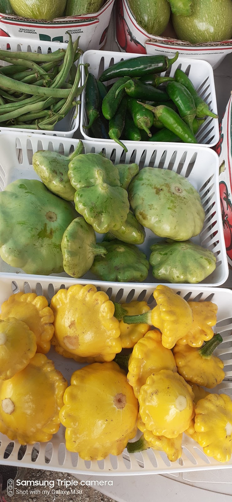 Mono Farm | 933128 Airport Rd, Mono, ON L9W 6C9, Canada | Phone: (647) 887-3255
