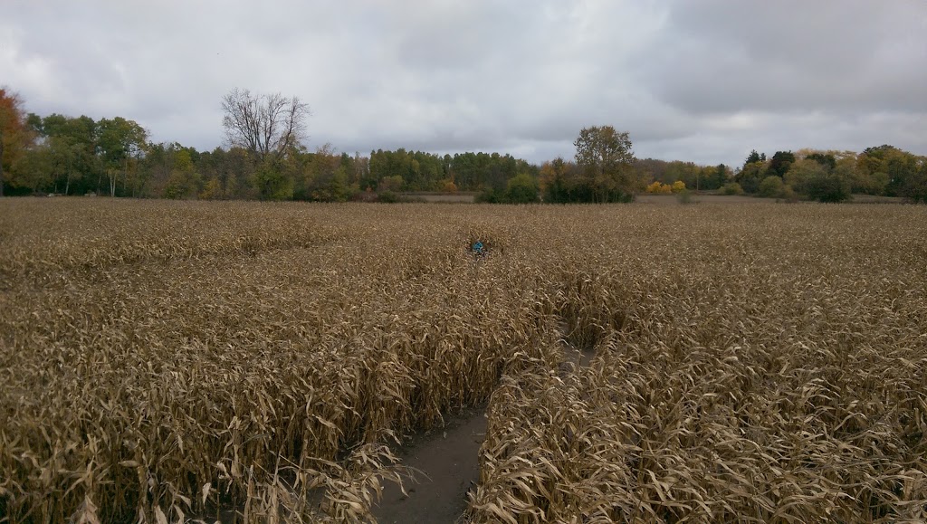 Stroms Farm & Bakery | 5089 Wellington Rd 32, Guelph, ON N1H 6J4, Canada | Phone: (519) 822-1070
