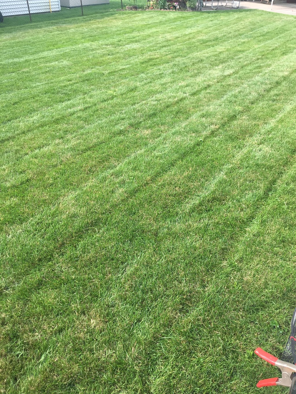H.A.L. Lawncare Service | 684767 Oxford 2, Woodstock, ON N4S 7V7, Canada | Phone: (519) 536-5211