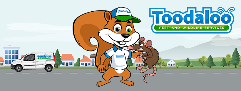 Toodaloo Pest Control | 17 Fawcett Rd #106b, Coquitlam, BC V3K 6V2, Canada | Phone: (844) 866-3256