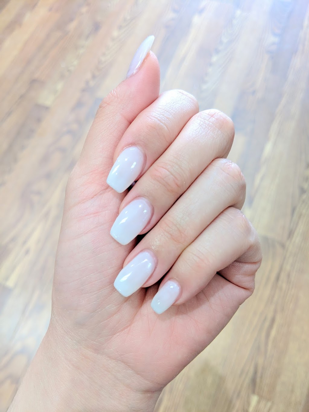 HL Nails | 200 Davis Dr Unit 5, Newmarket, ON L3Y 2N4, Canada | Phone: (905) 868-9099