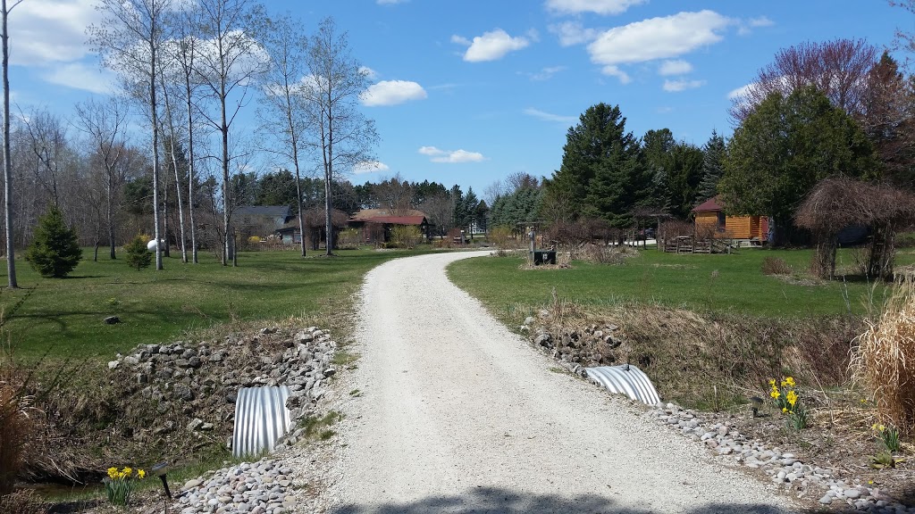 Yoga Cabin | 7967 County Rd 13, Lisle, ON L0M 1M0, Canada | Phone: (705) 440-7766