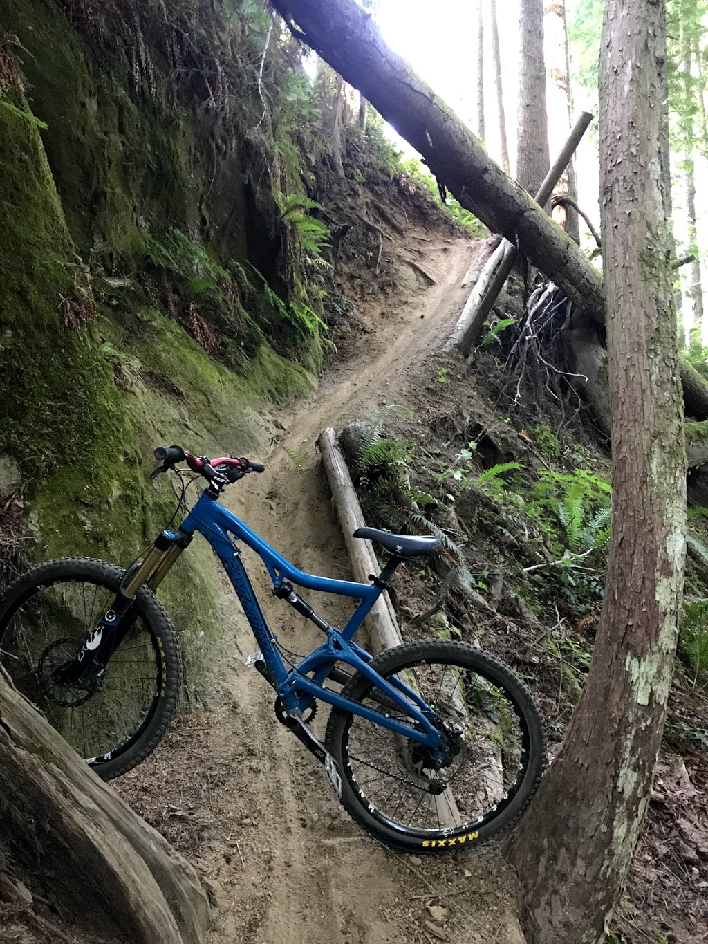 Galbraith Mountain | Tower Rd, Bellingham, WA 98229, USA | Phone: (360) 778-7000