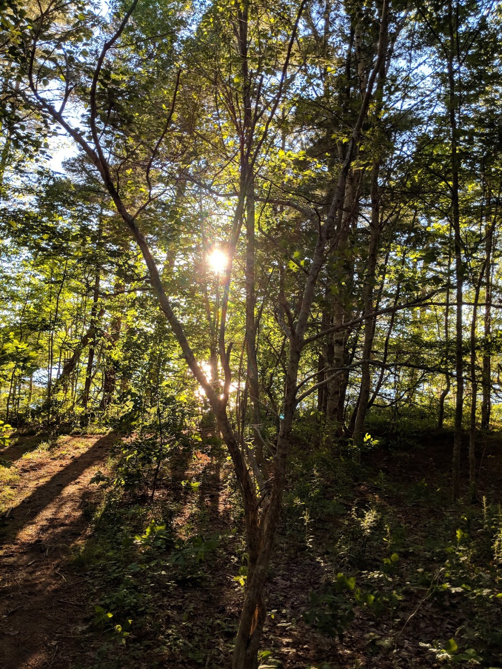 Oakfield Provincial Park | 366 Oakfield Park Rd, Oakfield, NS B2T 1B3, Canada | Phone: (902) 861-2560