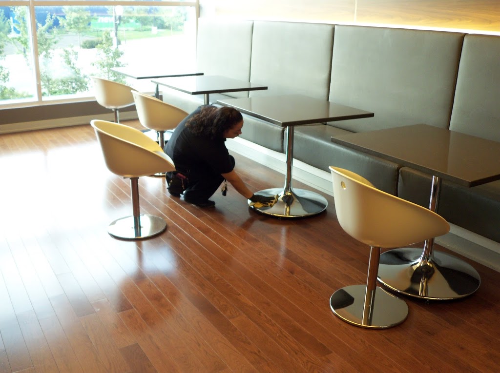 Fresh Water Cleaning Services | 49 Angus Dr, North York, ON M2J 2W9, Canada | Phone: (647) 406-5383