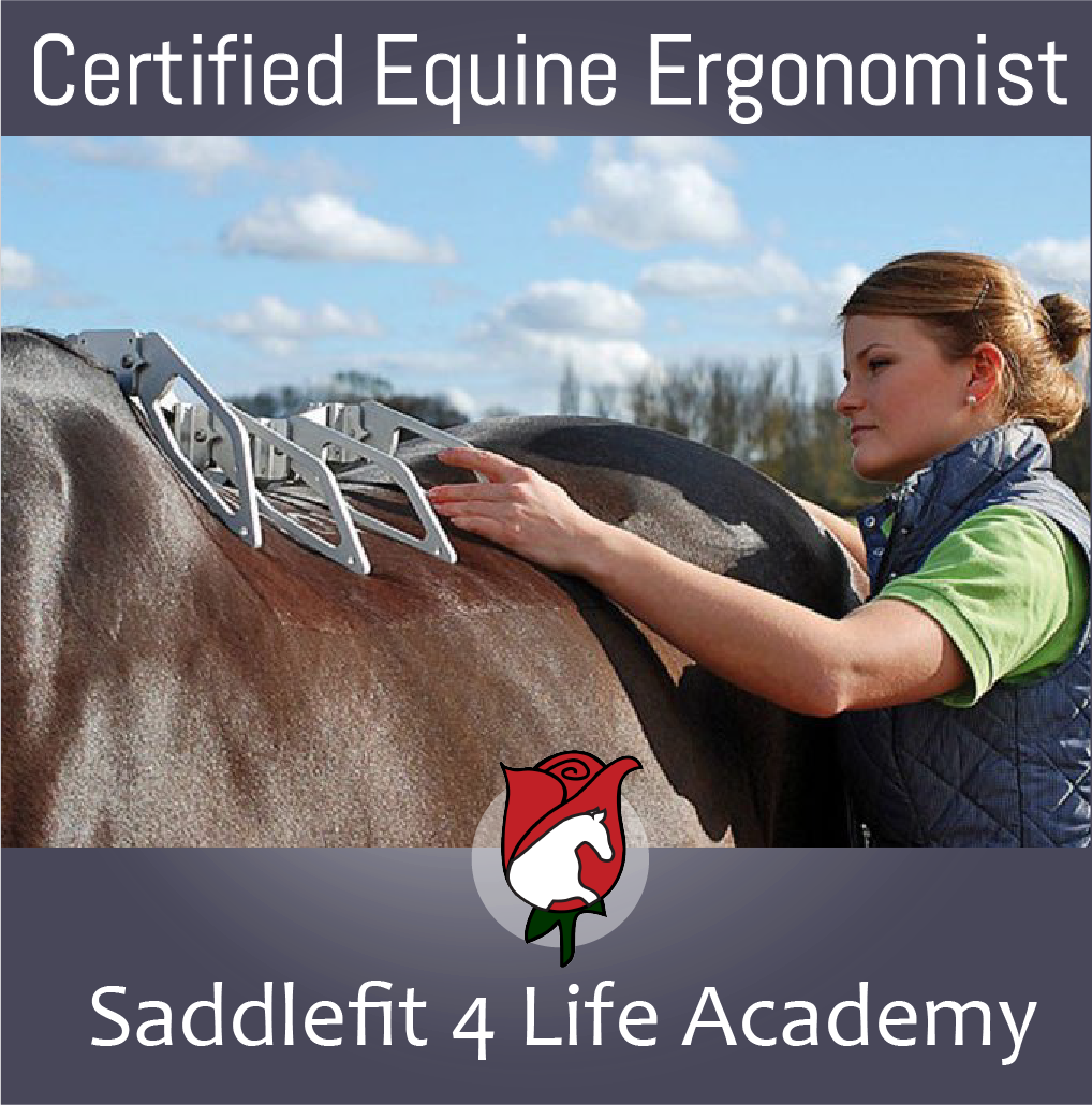 Saddlefit 4 Life® | 82 Derby Ct, Newmarket, ON L3Y 5Z9, Canada | Phone: (800) 225-2242