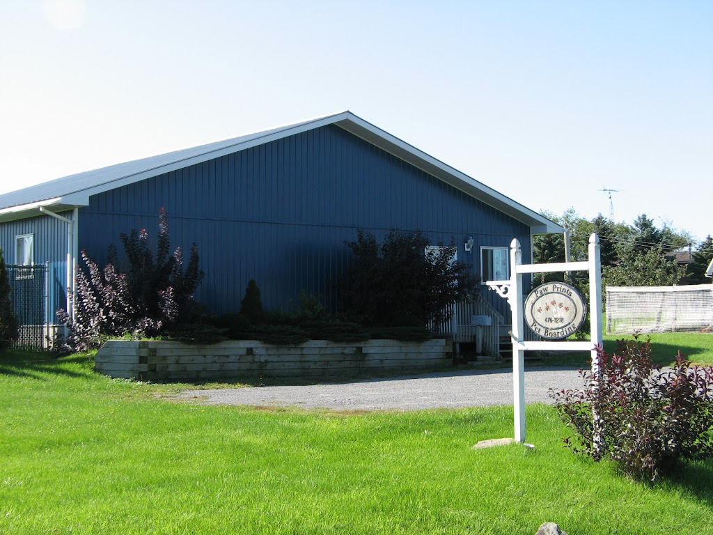 Paw Prints Pet Boarding | 2290 County Rd 10, Picton, ON K0K 2T0, Canada | Phone: (613) 476-1218