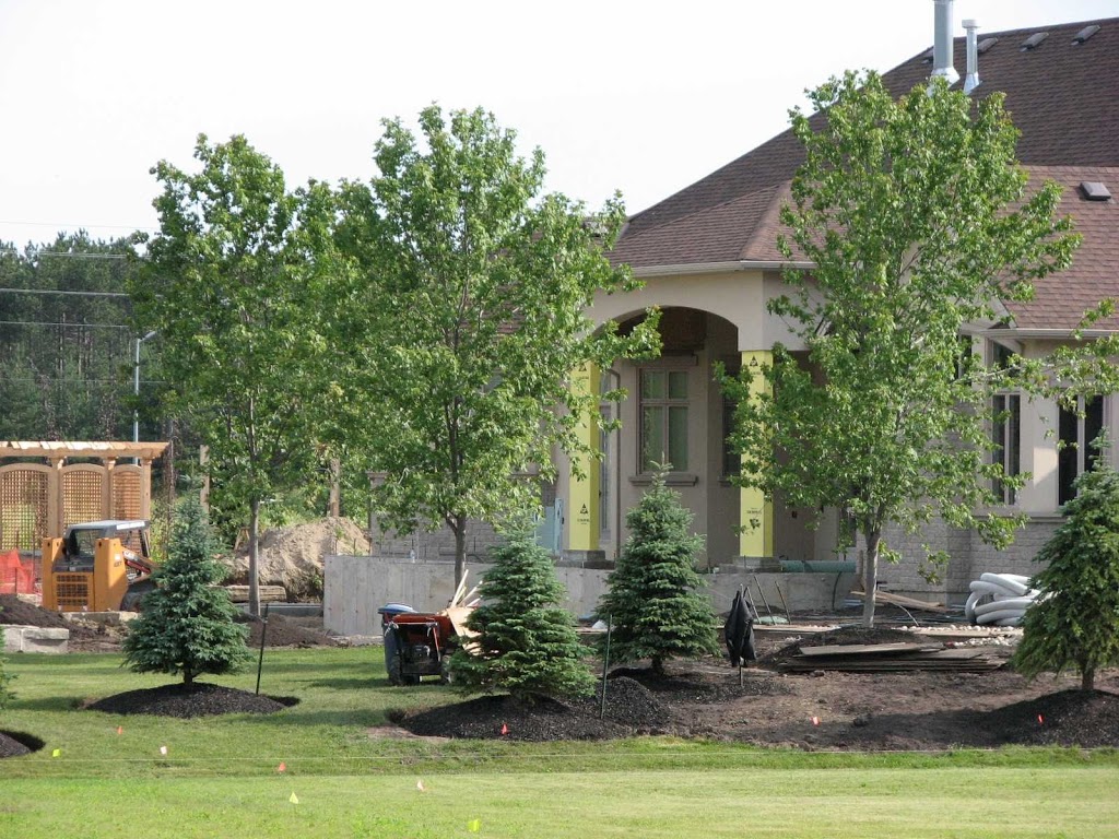 Caledon Treeland | 15316 Mt Wolfe Rd, Bolton, ON L7E 3N7, Canada | Phone: (905) 880-1828
