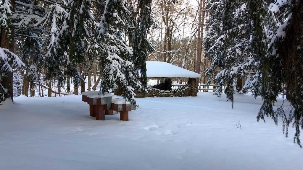 Emery Park | 2084 Emery Rd, South Wales, NY 14139, USA | Phone: (716) 858-8355