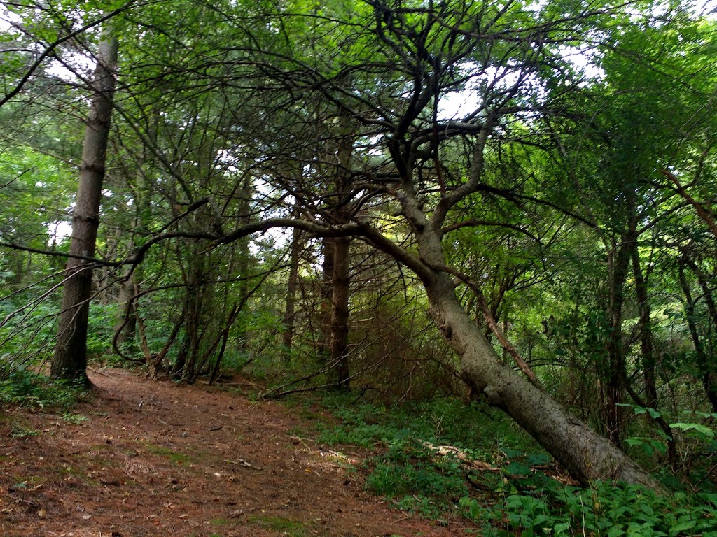 Lorne C Henderson Conservation | 3653 Petrolia Line, Petrolia, ON N0N 1R0, Canada | Phone: (519) 882-2280